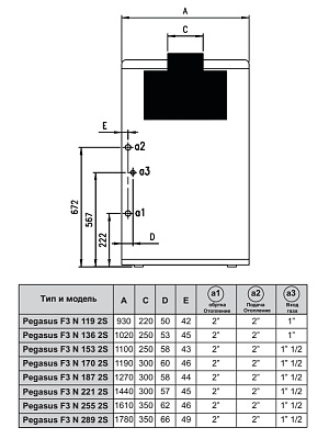 Напольный газовый котел отопления Ferroli PEGASUS F3 N 221 2S