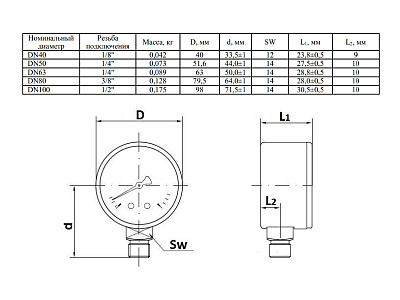 Манометр Watts F+R200 80/16, радиальный